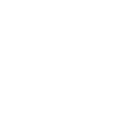 Разработчик