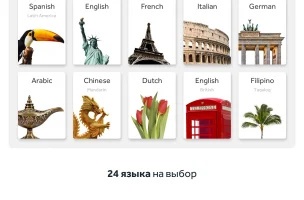Rosetta Stone: Изучение языков