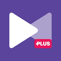 KMPlayer Plus (Divx Codec)