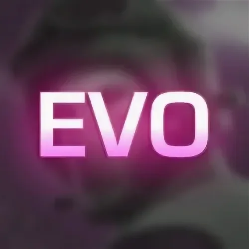 Скачать Приватка Project Evolution